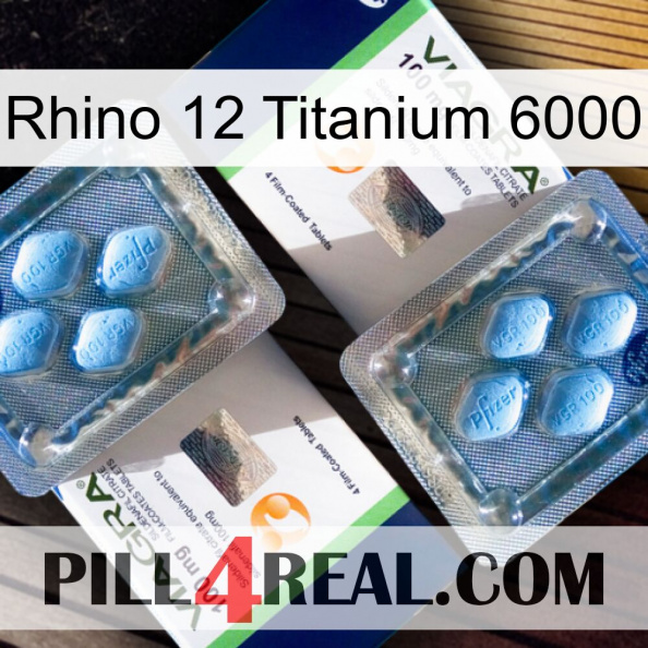 Rhino 12 Titanium 6000 viagra5.jpg